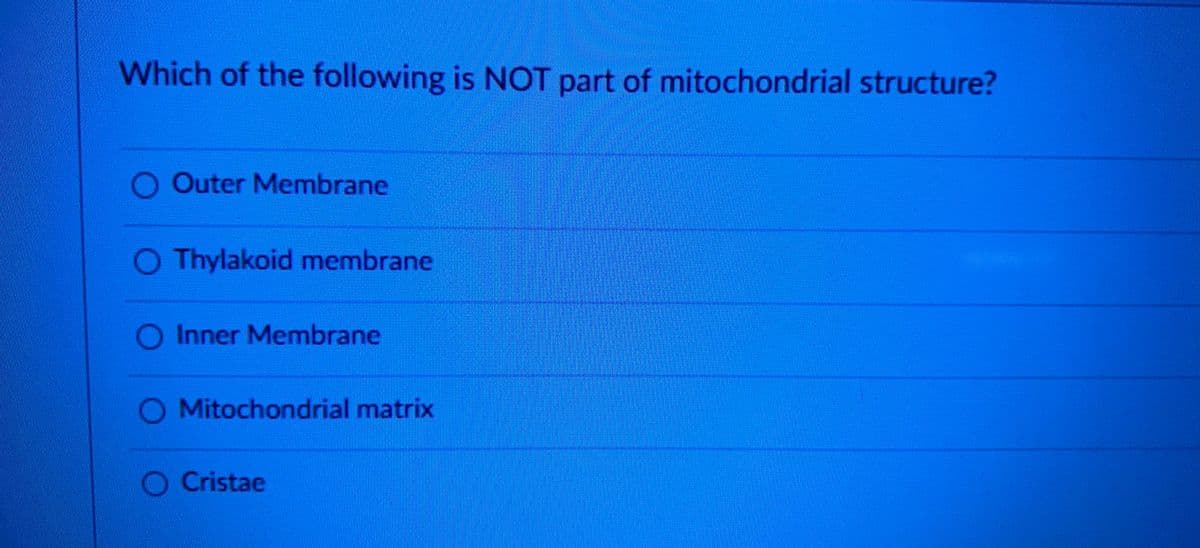 Which of the following is NOT part of mitochondrial structure?
O Outer Membrane
O Thylakoid membrane
O Inner Membrane
Mitochondrial matrix
Cristae