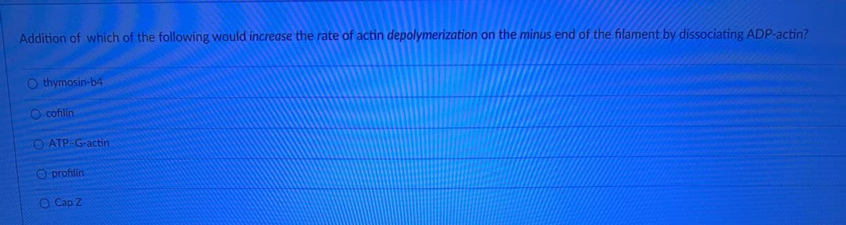 Addition of which of the following would increase the rate of actin depolymerization on the minus end of the filament by dissociating ADP-actin?
Othymosin-b4
O cofilin
O ATP-G-actin
O profilin
O Cap Z