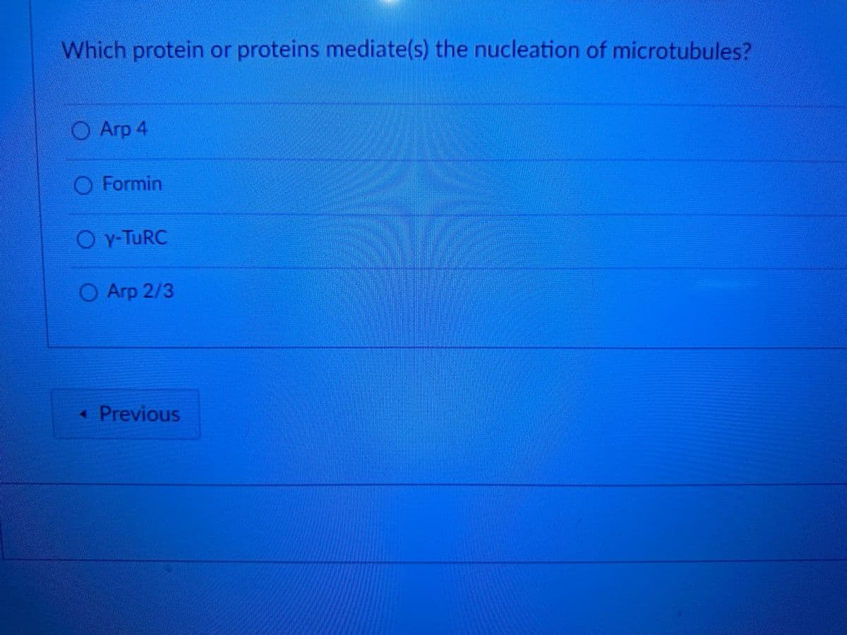 Which protein or proteins mediate(s) the nucleation of microtubules?
Arp 4
O Formin
OY-TURC
O Arp 2/3
< Previous