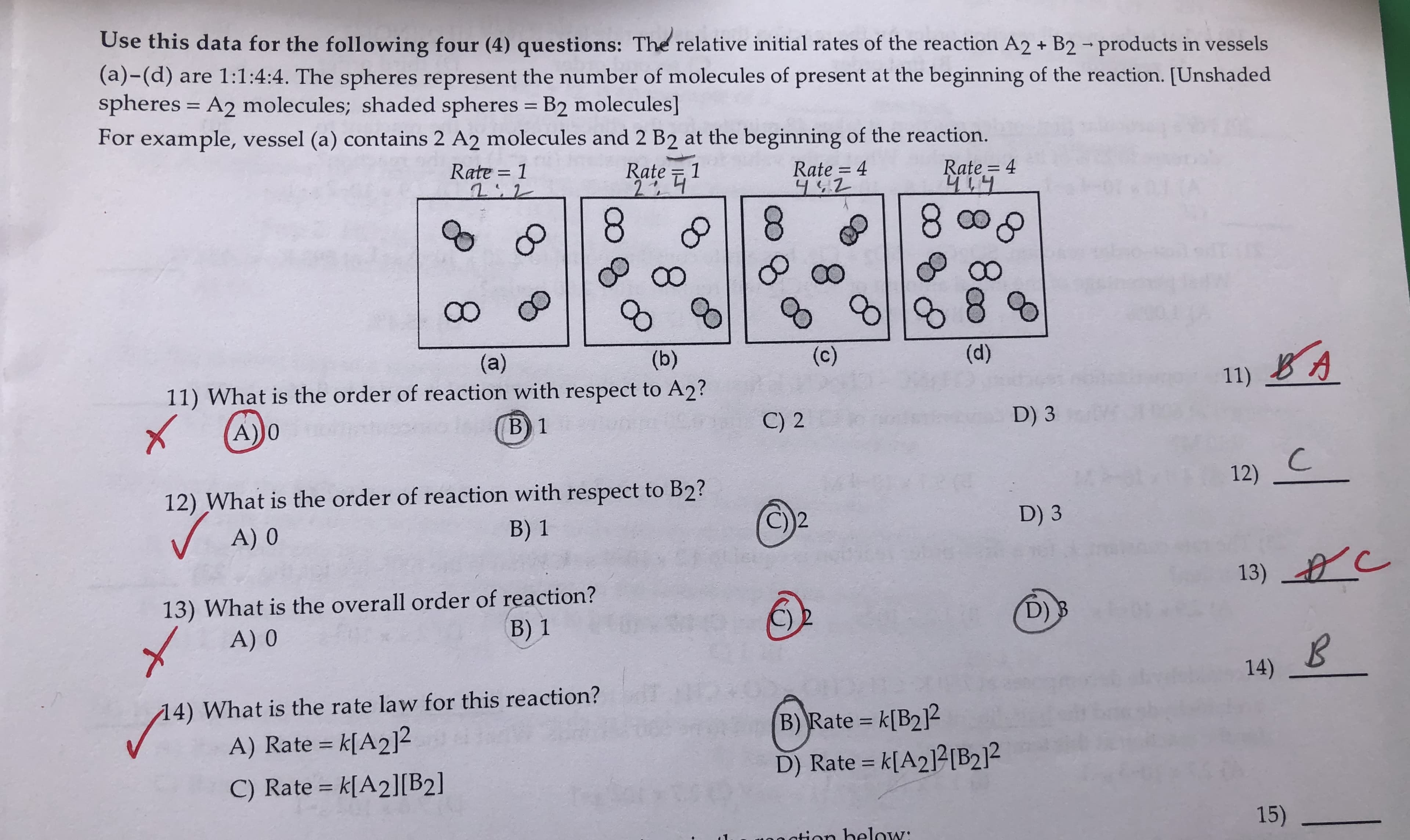 Use this data for the following four (4) questions: The relative initial rates of the reaction A2 + B2-products in vessels
(a)-(d) are 1:1:4:4. The spheres represent the number of molecules of present at the beginning of the reaction. [Unshaded
spheres = A2 molecules; shaded spheres = B2 molecules]
%3D
For example, vessel (a) contains 2 A2 molecules and 2 B2 at the beginning of the reaction.
Rate = 1
Rate 1
Rate = 4
Rate = 4
%3D
2.
8.
80
(c)
(a)
11) What is the order of reaction with respect to A2?
(b)
(d)
BA
11)
A))0
B) 1
C) 2
D) 3
12) What is the order of reaction with respect to B2?
12) C
A) 0
B) 1
D) 3
13) o c
13) What is the overall order of reaction?
A) 0
B) 1
D) B
14)
14) What is the rate law for this reaction?
B) Rate k[B2]2
D) Rate = k[A2]2[B2]²
A) Rate = k[A2]²
%3D
C) Rate = k[A2][B2]
%3D
%3D
nation below:
15)
8.
8.
