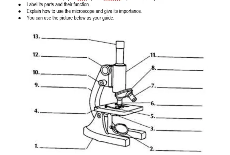 • Label its parts and their function.
• Explain how to use the microscope and give its importance.
• You can use the picture below as your guide.
13..
12.
11.
8.
10.
9.
-6.
1.
