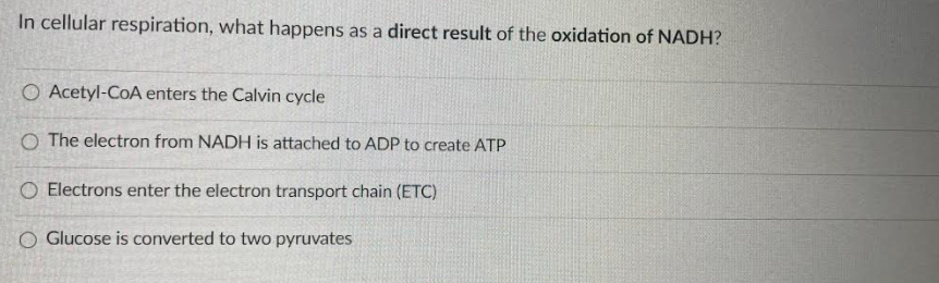In cellular respiration, what happens as a direct result of the oxidation of NADH?
O Acetyl-CoA enters the Calvin cycle
O The electron from NADH is attached to ADP to create ATP
O Electrons enter the electron transport chain (ETC)
O Glucose is converted to two pyruvates
