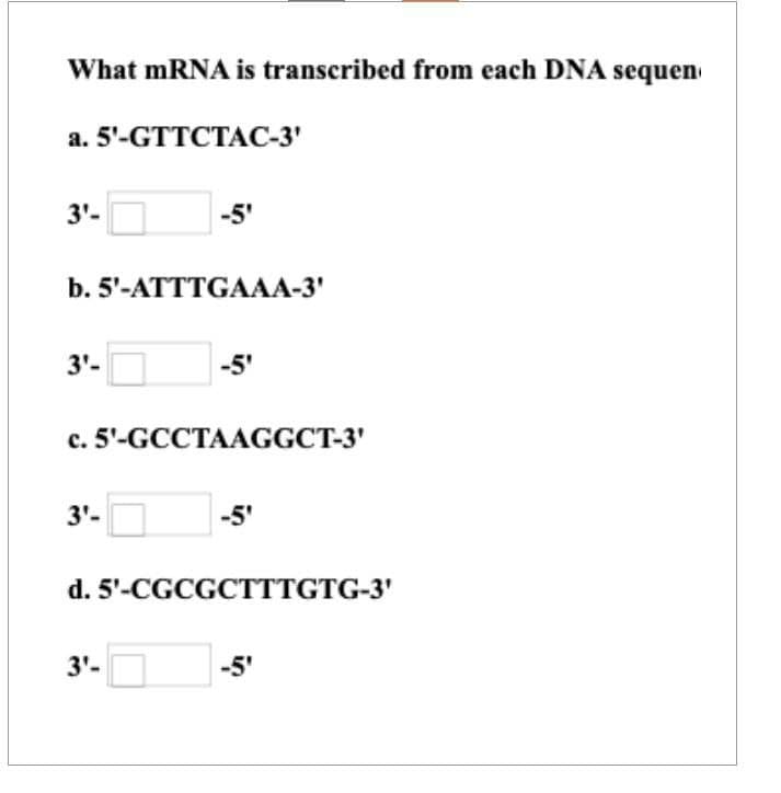 What mRNA is transcribed from each DNA sequen
а. 5'-GTTCTAС-3'
3'-
-5'
b. 5'-ATTTGAAA-3'
3'-
-5'
c. 5'-GCCTAAGGCT-3'
3'-
-5'
d. 5'-CGCGCTTTGTG-3'
3'-
-5'
