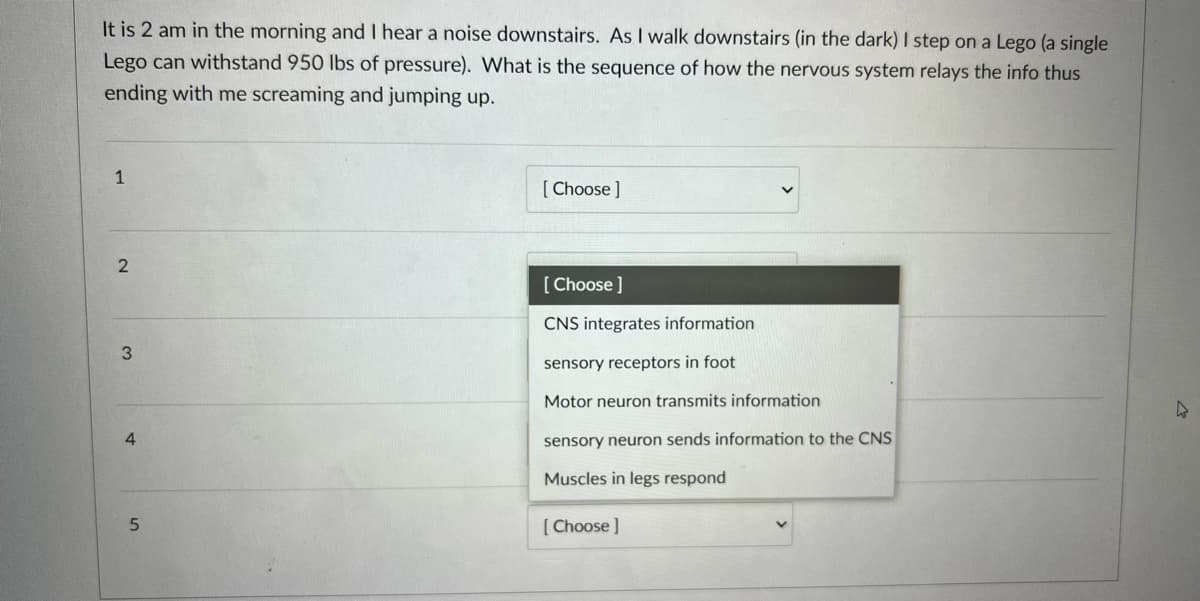 It is 2 am in the morning and I hear a noise downstairs. As I walk downstairs (in the dark) I step on a Lego (a single
Lego can withstand 950 lbs of pressure). What is the sequence of how the nervous system relays the info thus
ending with me screaming and jumping up.
1
[ Choose ]
[ Choose ]
CNS integrates information
sensory receptors in foot
Motor neuron transmits information
4.
sensory neuron sends information to the CNS
Muscles in legs respond
[ Choose ]
