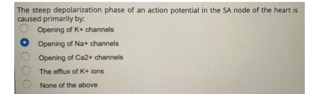 The steep depolarization phase of an action potential in the SA node of the heart is
caused primarily by:
Opening of K+ channels
Opening of Na+ channels
Opening of Ca2+ channels
The efflux of K+ ions
None of the above
