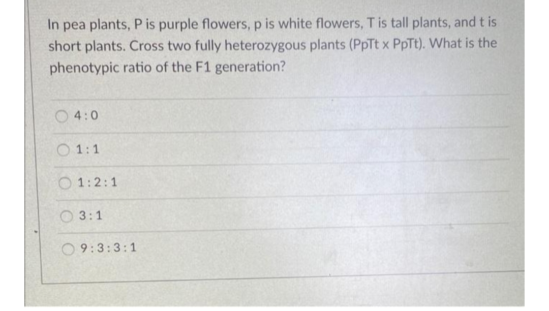 In pea plants, P is purple flowers, p is white flowers, T is tall plants, and t is
short plants. Cross two fully heterozygous plants (PpTt x PpTt). What is the
phenotypic ratio of the F1 generation?
4:0
O 1:1
O 1:2:1
O 3:1
O9:3:3:1
