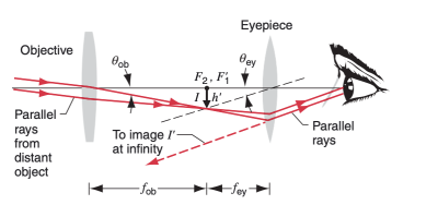 Objective
Parallel
rays
from
distant
object
Pop
To image I'
at infinity
-fob
F₂, F₁
Ih'
Eyepiece
Bey
+fey-
Parallel
rays