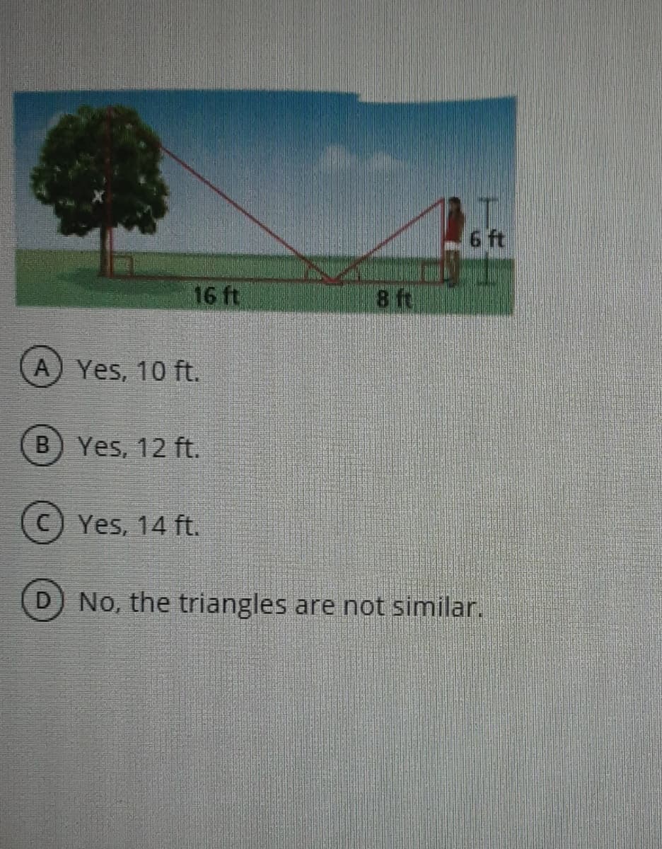 6 ft
16 ft
8 ft
A Yes, 10 ft.
B) Yes, 12 ft.
C) Yes, 14 ft.
D) No, the triangles are not similar.

