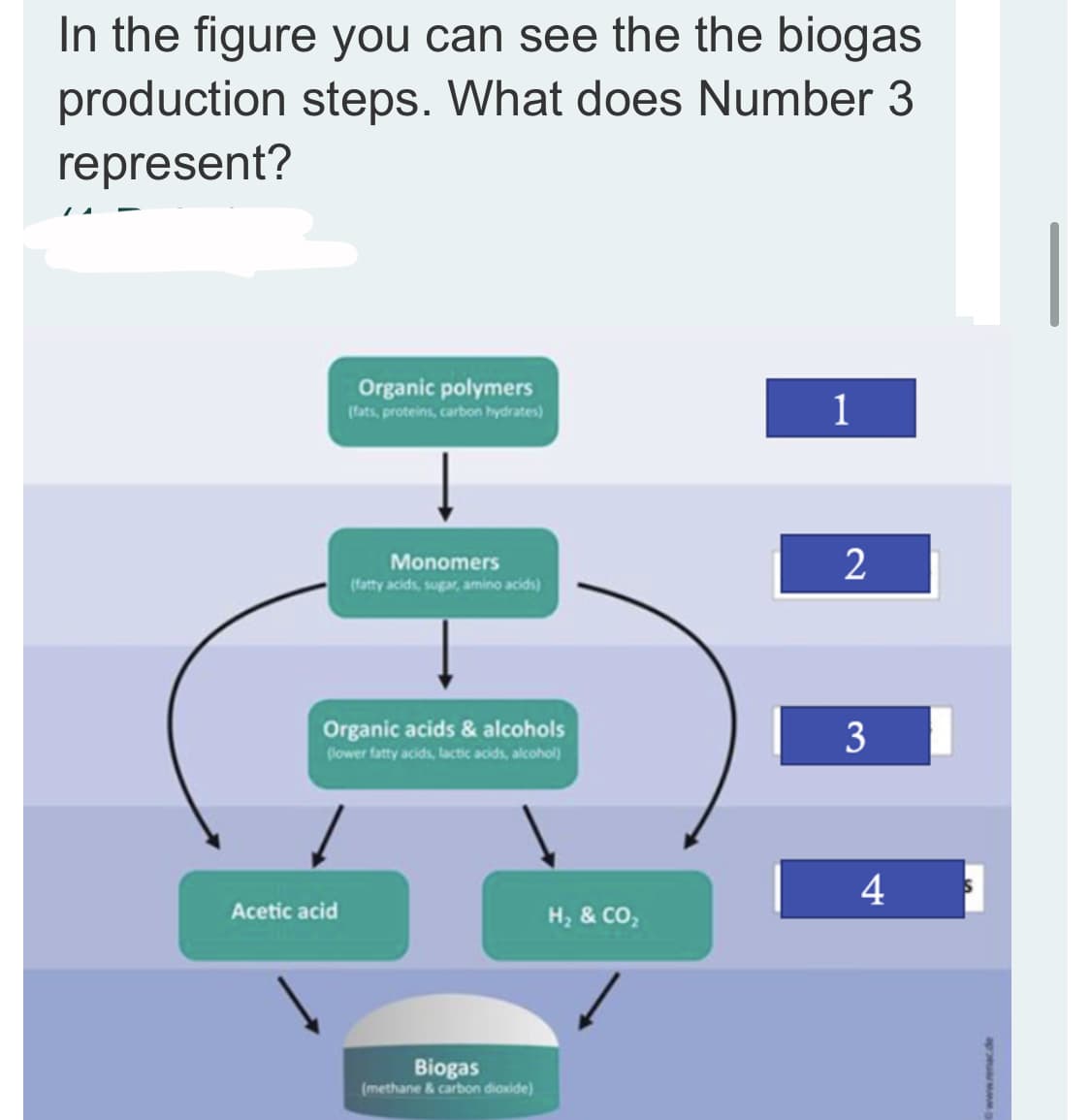 In the figure you can see the the biogas
production steps. What does Number 3
represent?
Organic polymers
1
(fats, proteins, carbon hydrates)
Monomers
(fatty acids, sugar, amino acids)
2
Organic acids & alcohols
3
lower fatty acids, lactic acids, alcohol)
4
Acetic acid
H, & CO,
Biogas
(methane & carbon dioxide)
ap o
