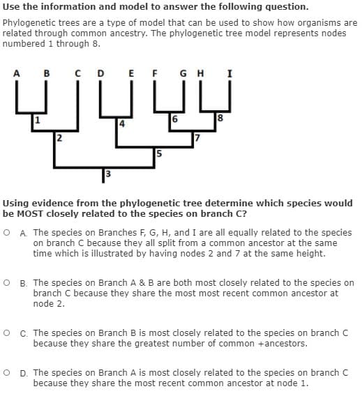 Use the information and model to answer the following question.
Phylogenetic trees are a type of model that can be used to show how organisms are
related through common ancestry. The phylogenetic tree model represents nodes
numbered 1 through 8.
A
CDE F GH
в
I
2
|5
Using evidence from the phylogenetic tree determine which species would
be MOST closely related to the species on branch C?
O A. The species on Branches F, G, H, and I are all equally related to the species
on branch C because they all split from a common ancestor at the same
time which is illustrated by having nodes 2 and 7 at the same height.
O B. The species on Branch A & B are both most closely related to the species on
branch C because they share the most most recent common ancestor at
node 2.
C. The species on Branch B is most closely related to the species on branch c
because they share the greatest number of common +ancestors.
D. The species on Branch A is most closely related to the species on branch C
because they share the most recent common ancestor at node 1.
