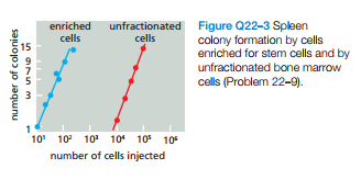 unfractionated Figure Q22-3 Spleen
colony formation by cells
enriched for stem cells and by
enriched
cells
cells
unfractionated bone marrow
cells (Problem 22-9).
1
10' 10 10 10 10 10
number of cells injected
number of colonies
