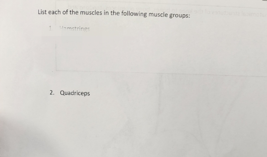and of sonx
List each of the muscles in the following muscle groups:
1. Hamstrings
2. Quadriceps