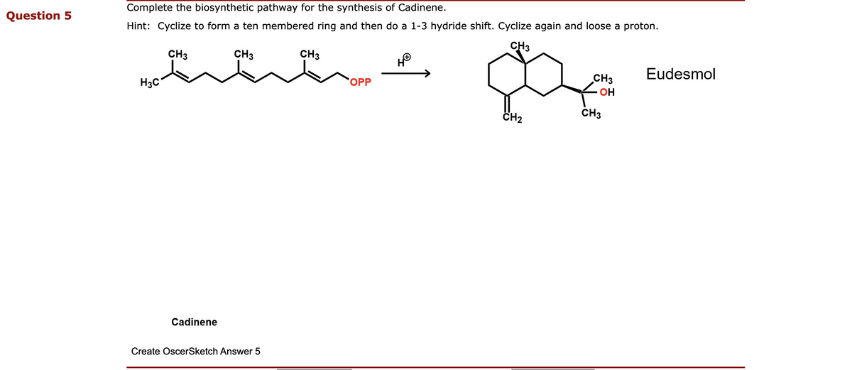 Question 5
Complete the biosynthetic pathway for the synthesis of Cadinene.
Hint: Cyclize to form a ten membered ring and then do a 1-3 hydride shift. Cyclize again and loose a proton.
CH3
CH3
CH3
H3C
Cadinene
Create OscerSketch Answer 5
CH3
OPP
HⓇ
CH₂
CH3
OH
CH3
Eudesmol