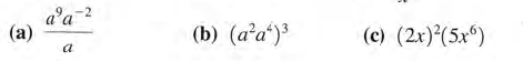 a'a
(a)
a-?
(b) (a'a*)
(e) (2x)(5x°)
a

