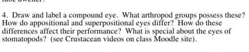 4. Draw and label a compound eye. What arthropod groups possess these?
How do appositional and superpositional eyes differ? How do these
differences affect their performance? What is special about the eyes of
stomatopods? (see Crustacean videos on class Moodle site).