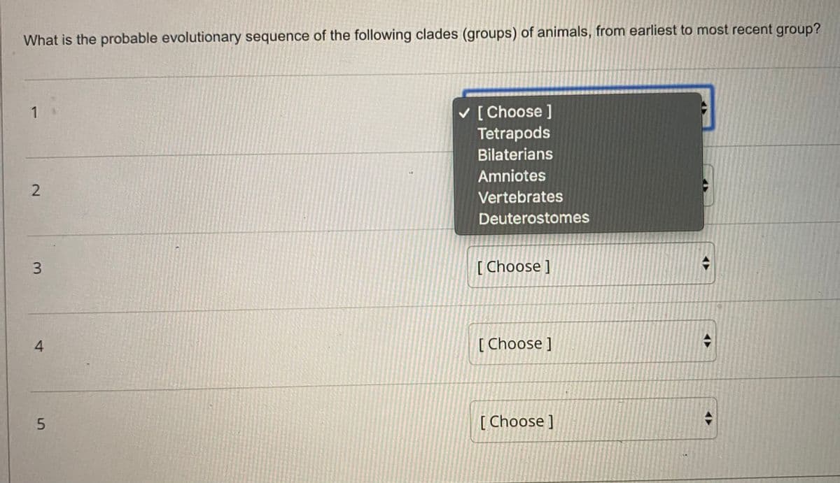 What is the probable evolutionary sequence of the following clades (groups) of animals, from earliest to most recent group?
v [ Choose ]
Tetrapods
Bilaterians
Amniotes
Vertebrates
Deuterostomes
[ Choose ]
[ Choose ]
[ Choose ]
AY
3.
4-
