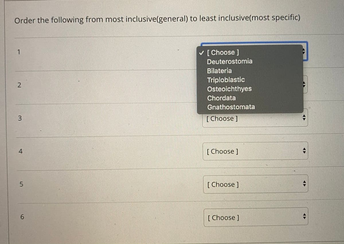 Order the following from most inclusive(general) to least inclusive(most specific)
1
v [ Choose ]
Deuterostomia
Bilateria
Triploblastic
Osteoichthyes
Chordata
Gnathostomata
[ Choose ]
[ Choose ]
[ Choose ]
[ Choose ]
2.
3.
4-
5
96
