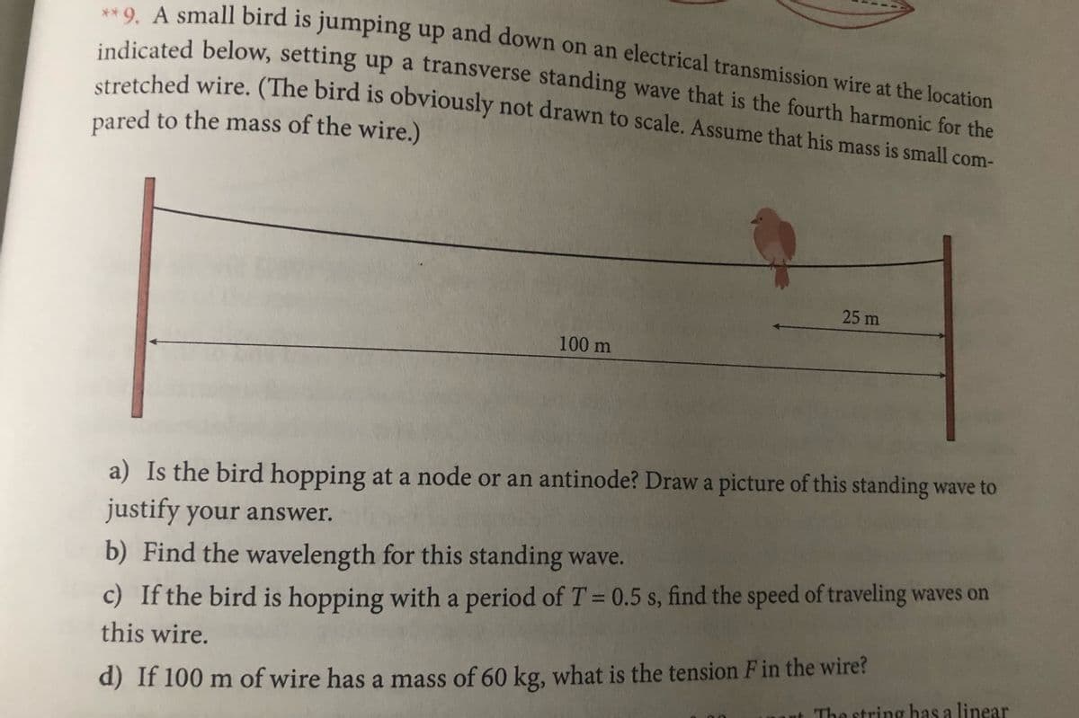 ** 9. A small bird is jumping up and down on an electrical transmission wire at the location
indicated below, setting up a transverse standing wave that is the fourth harmonic for the
retched wire. (The bird is obviously not drawn to scale. Assume that his mass is small com-
pared to the mass of the wire.)
25 m
100 m
a) Is the bird hopping at a node or an antinode? Draw a picture of this standing wave to
justify your answer.
b) Find the wavelength for this standing wave.
c) If the bird is hopping with a period of T= 0.5 s, find the speed of traveling waves on
this wire.
d) If 100 m of wire has a mass of 60 kg, what is the tension F in the wire?
at The string has a linear
