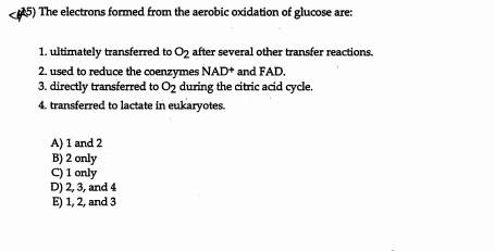 AS) The electrons formed from the aerobic oxidation of glucose are:
1 ultimately transferred to O2 after several other transfer reactions
2. used to reduce the coenzymes NAD* and FAD
3. directly transferred to O2 during the citric acid cycle
4. transferred to lactate in eukaryotes.
A) 1 and 2
B) 2 only
C) 1 only
D) 2,3, and 4
E) 1,2, and 3
