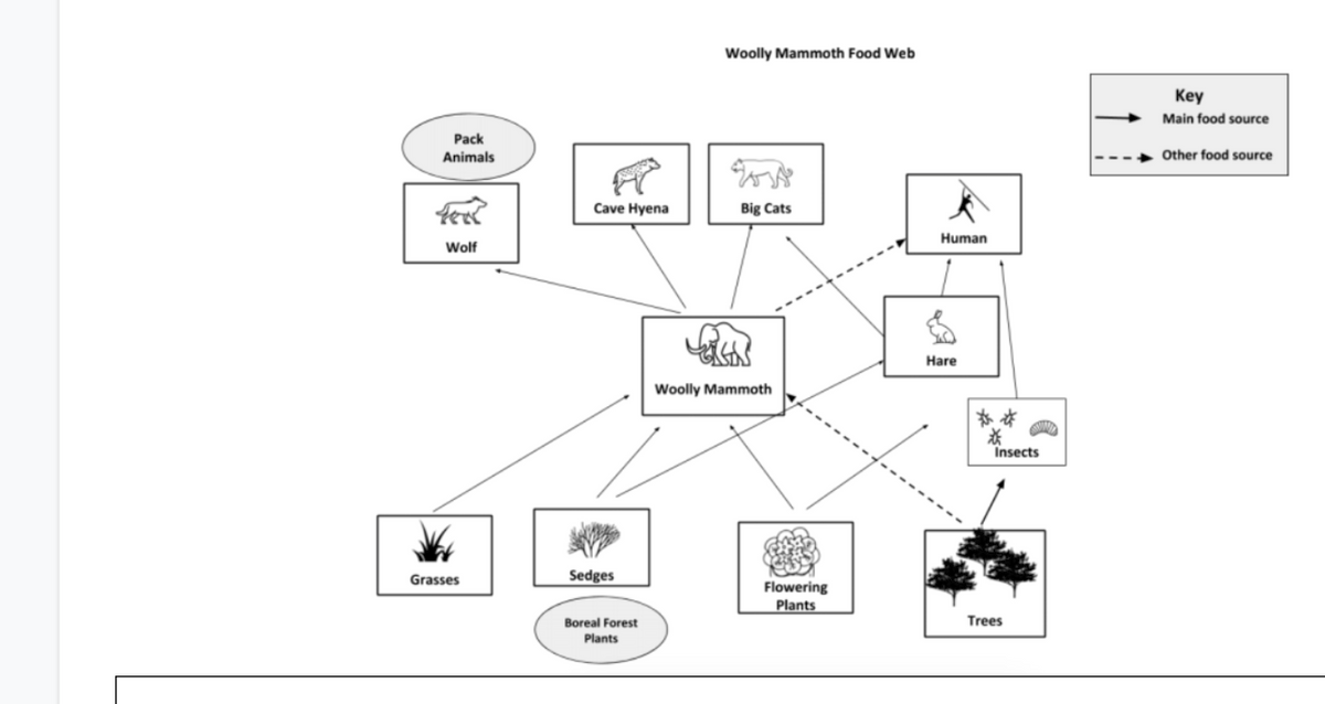 Woolly Mammoth Food Web
Key
Main food source
Pack
Animals
Other food source
Cave Hyena
Big Cats
Human
Wolf
Hare
Woolly Mammoth
Insects
Grasses
Sedges
Flowering
Plants
Boreal Forest
Trees
Plants
