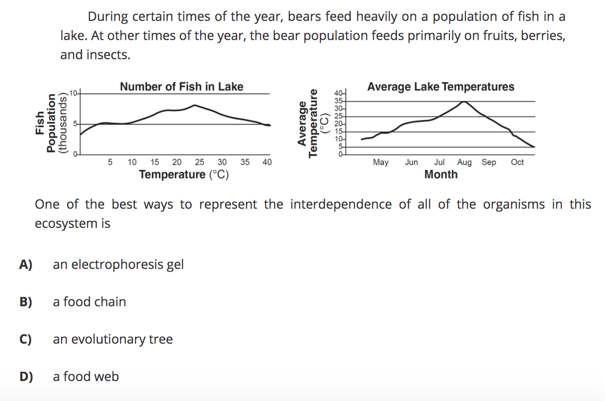 During certain times of the year, bears feed heavily on a population of fish in a
lake. At other times of the year, the bear population feeds primarily on fruits, berries,
and insects.
Number of Fish in Lake
Average Lake Temperatures
404
35-
30-
10
15 20
25
30
35
40
Мay
Jun
Jul
Aug Sep
Oct
Temperature (°C)
Month
One of the best ways to represent the interdependence of all of the organisms in this
ecosystem is
A)
an electrophoresis gel
B)
a food chain
C)
an evolutionary tree
D)
a food web
Fish
Population
(thousands)
Average
Temperature
(°C)
