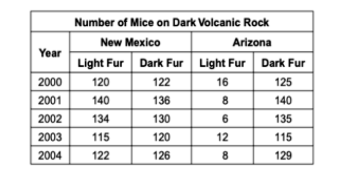 Number of Mice on Dark Volcanic Rock
New Mexico
Arizona
Year
Light Fur
Dark Fur Light Fur
Dark Fur
2000
120
122
16
125
2001
140
136
140
2002
134
130
6
135
2003
115
120
12
115
2004
122
126
8
129
