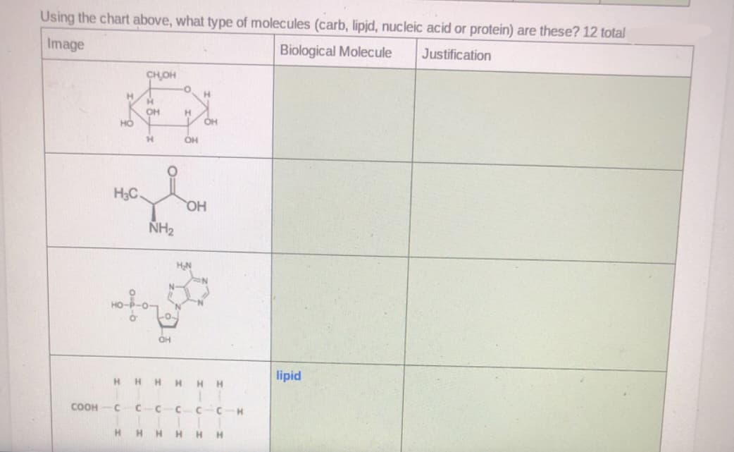 Using the chart above, what type of molecules (carb, lipid, nucleic acid or protein) are these? 12 total
Image
Biological Molecule
Justification
CHOH
H.
H.
HO
OH
OH
H3C
OH
NH2
H,N
lipid
H
H
H.
H.
H.
соон
H.
H.
H.
H
H UI
