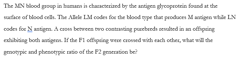 The MN blood group in humans is characterized by the antigen glycoprotein found at the
surface of blood cells. The Allele LM codes for the blood type that produces M antigen while LN
codes for N antigen. A cross between two contrasting purebreds resulted in an offspring
exhibiting both antigens. If the F1 offspring were crossed with each other, what will the
genotypic and phenotypic ratio of the F2 generation be?
