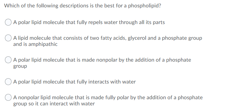 Which of the following descriptions is the best for a phospholipid?
A polar lipid molecule that fully repels water through all its parts
A lipid molecule that consists of two fatty acids, glycerol and a phosphate group
and is amphipathic
A polar lipid molecule that is made nonpolar by the addition of a phosphate
group
O A polar lipid molecule that fully interacts with water
O A nonpolar lipid molecule that is made fully polar by the addition of a phosphate
group so it can interact with water
