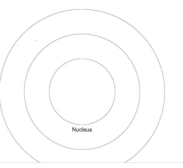 Nucleus
