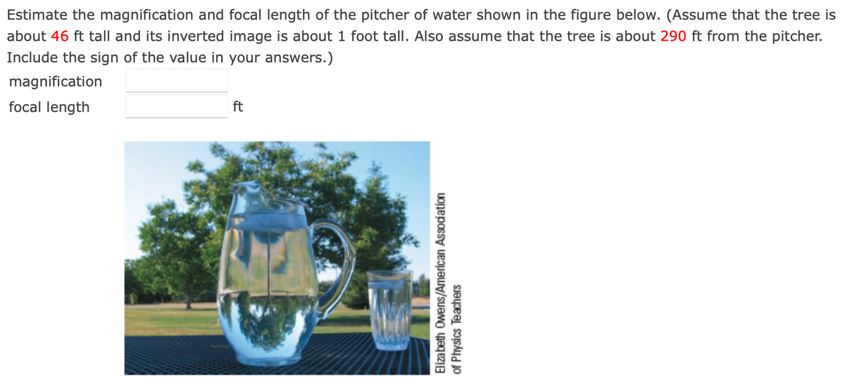 Estimate the magnification and focal length of the pitcher of water shown in the figure below. (Assume that the tree is
about 46 ft tall and its inverted image is about 1 foot tall. Also assume that the tree is about 290 ft from the pitcher.
Include the sign of the value in your answers.)
magnification
focal length
ft
Elizabeth Owens/American Association
of Physics Teachers
