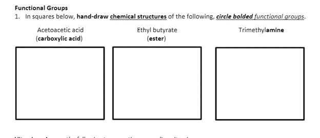 Functional Groups
1. In squares below, hand-draw chemical structures of the following, circle bolded functional groups.
Acetoacetic acid
Ethyl butyrate
Trimethylamine
(carboxylic acid)
(ester)
