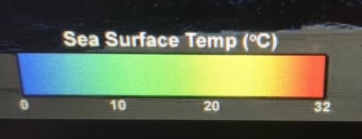 Sea Surface Temp (°C)
10
20
32
