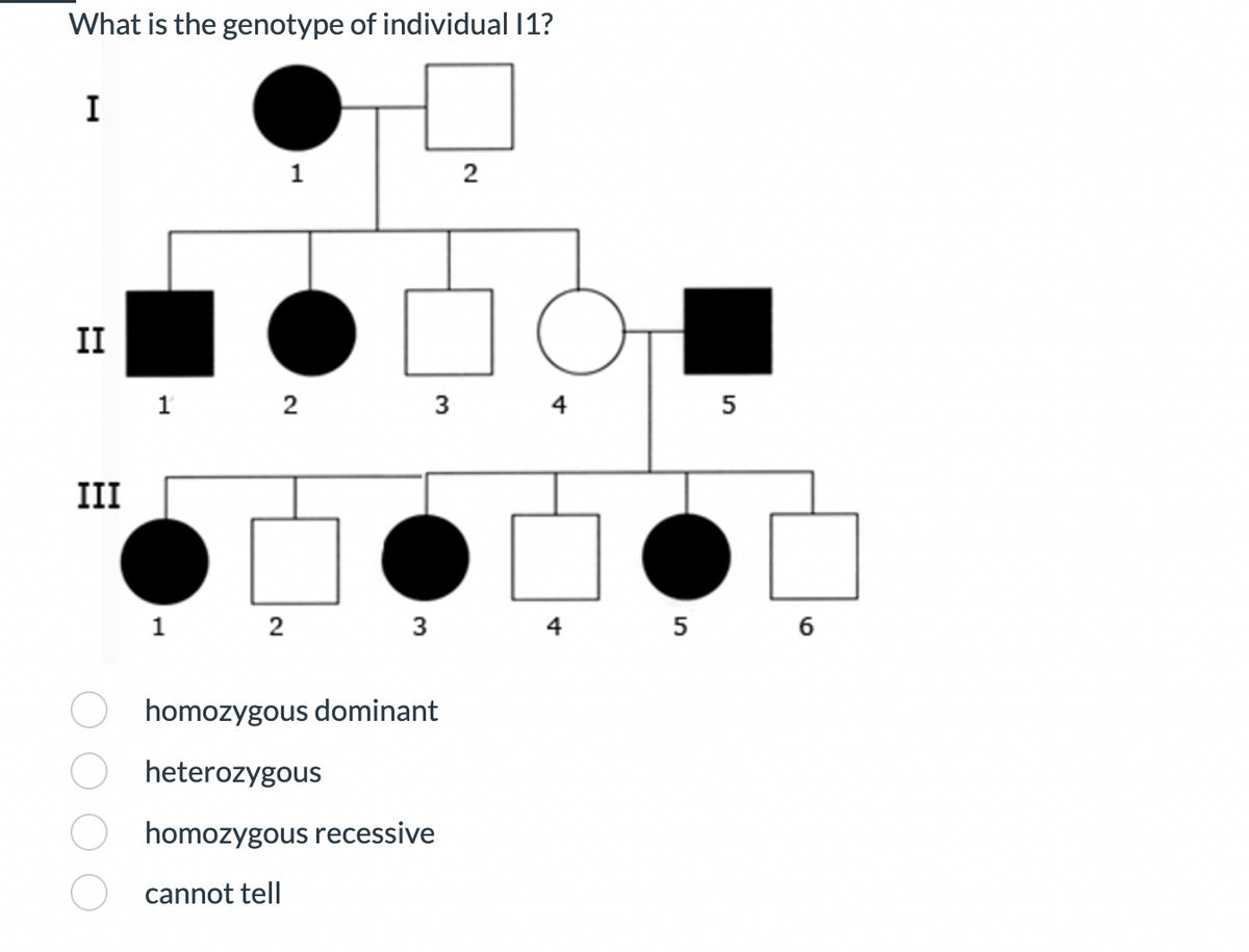 What is the genotype of individual 11?
I
II
III
1
1 2
1 2
cannot tell
3
3
homozygous dominant
heterozygous
homozygous recessive
2
4
5
5 6