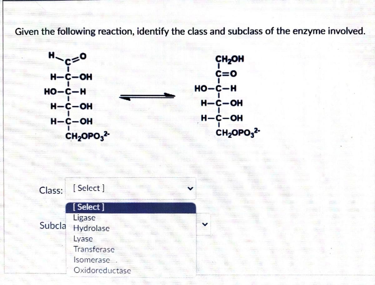 Given the following reaction, identify the class and subclass of the enzyme involved.
H.
CH2OH
H-C-OH
C=0
но-с-н
но-с-н
H-C-OH
H-C-OH
H-C-OH
H-C-OH
CH2OPO,2
CH2OPO,2-
Class: [ Select]
[ Select ]
Ligase
Hydrolase
Lyase
Subcla
Transferase
Isomerase
Oxidoreductase
