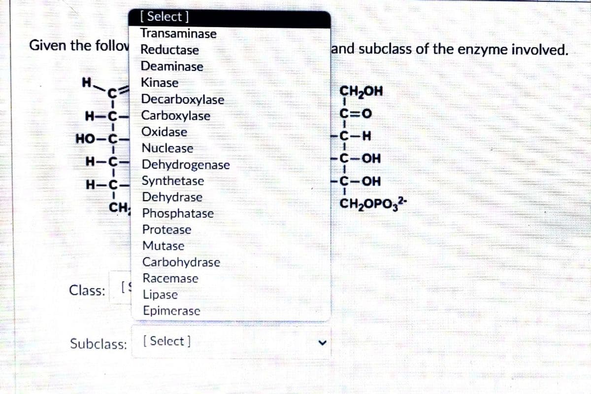 [ Select ]
Transaminase
Given the follov Reductase
and subclass of the enzyme involved.
Deaminase
H.
Kinase
CH2OH
Decarboxylase
H-C- Carboxylase
C=0
но-с—
Oxidase
-C-H
Nuclease
H-C Dehydrogenase
-C-OH
H-C Synthetase
Dehydrase
CH; Phosphatase
-C-OH
CH2OPO,2-
Protease
Mutase
Carbohydrase
Racemase
Class:
Lipase
Epimerase
Subclass:
[ Select ]
