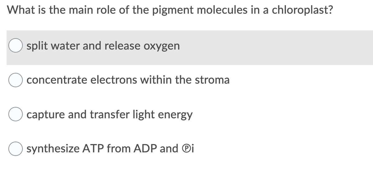 What is the main role of the pigment molecules in a chloroplast?
split water and release oxygen
concentrate electrons within the stroma
capture and transfer light energy
synthesize ATP from ADP and ®i

