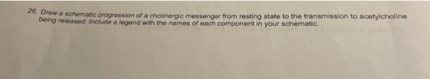 26. Draw a schematic progression of a cholinergic messenger from resting state to the transmission to acetylcholine
being released. Include a legend with the names of each component in your schematic.