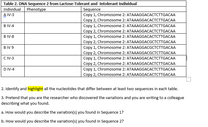 Table 2. DNA Sequence 2 from Lactose-Tolerant and -Intolerant Individual
Individual Phenotype
Sequence
A IV-3
B IV-4
B IV-8
BIV 9
CIV-3
DIV-4
Copy 1, Chromosome 2: ATAAAGGACACTCTTGACAA
Copy 2, Chromosome 2: ATAAAGGACACTCTTGACAA
Copy 1, Chromosome 2: ATAAAGGACACTCTTGACAA
Copy 2, Chromosome 2: ATAAAGGACACTCTTGACAA
Copy 1, Chromosome 2: ATAAAGGACACTCTTGACAA
Copy 2, Chromosome 2: ATAAAGGACGCTCTTGACAA
Copy 1, Chromosome 2: ATAAAGGACGCTCTTGACAA
Copy 2, Chromosome 2: ATAAAGGACGCTCTTGACAA
Copy 1, Chromosome 2: ATAAAGGACACTCTTGACAA
Copy 2, Chromosome 2: ATAAAGGACACTCTTGACAA
Copy 1, Chromosome 2: ATAAAGGACACTCTTGACAA
Copy 2, Chromosome 2: ATAAAGGACACTCTTGACAA
2. Identify and highlight all the nucleotides that differ between at least two sequences in each table.
3. Pretend that you are the researcher who discovered the variations and you are writing to a colleague
describing what you found.
a. How would you describe the variation(s) you found in Sequence 1?
b. How would you describe the variation(s) you found in Sequence 2?