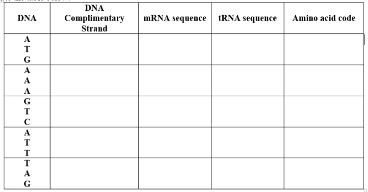 DNA
DNA
Complimentary
MRNA sequence tRNA sequence
Amino acid code
Strand
A
T
G
A
A
A
G
T
C
A
T
T
T
A
G
