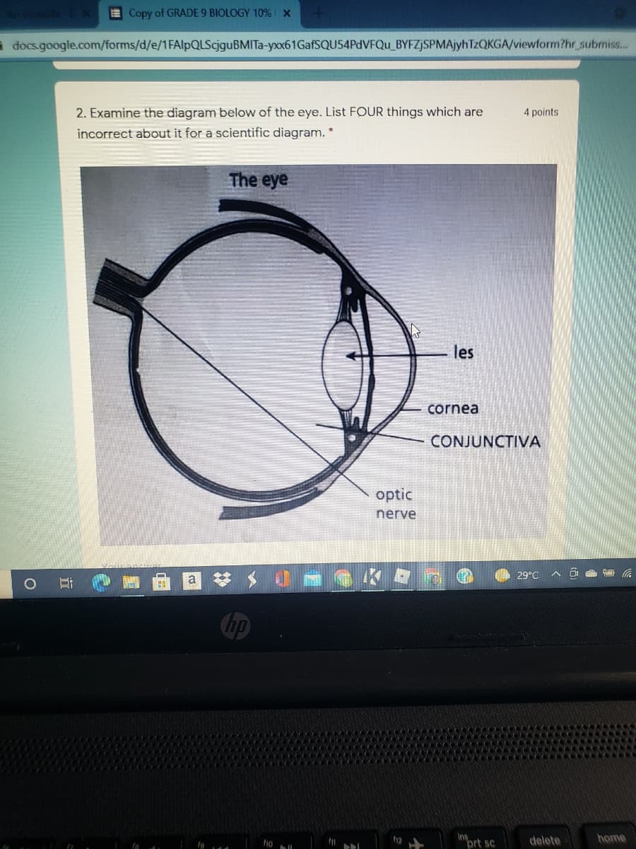 E Copy of GRADE 9 BIOLOGY 10% x
à docs.google.com/forms/d/e/1FAlpQLScjguBMITa-yxx61GafSQU54PdVFQu_BYFZjSPMAjyhTzQKGA/viewform?hr submis..
2. Examine the diagram below of the eye. List FOUR things which are
4 points
incorrect about it for a scientific diagram. *
The eye
les
cornea
CONJUNCTIVA
optic
nerve
29°C
Inort sc
delete
home
ho
12
fg
