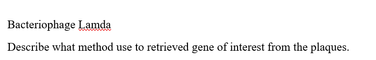 Bacteriophage Lamda
Describe what method use to retrieved gene of interest from the plaques.