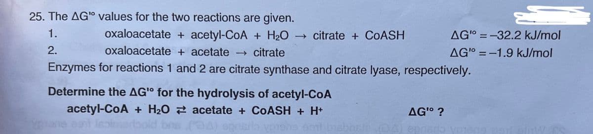 25. The AG" values for the two reactions are given.
1.
2.
oxaloacetate + acetyl-CoA + H₂O → citrate + COASH
oxaloacetate + acetate → citrate
Enzymes for reactions 1 and 2 are citrate synthase and citrate lyase, respectively.
Determine the AG" for the hydrolysis of acetyl-CoA
acetyl-CoA + H₂O
acetate + COASH + H+
plane een isoimorfbold bns
(94) opg
Vp1903 9911
AG¹⁰ ?
AGO = -32.2 kJ/mol
AG"=-1.9 kJ/mol