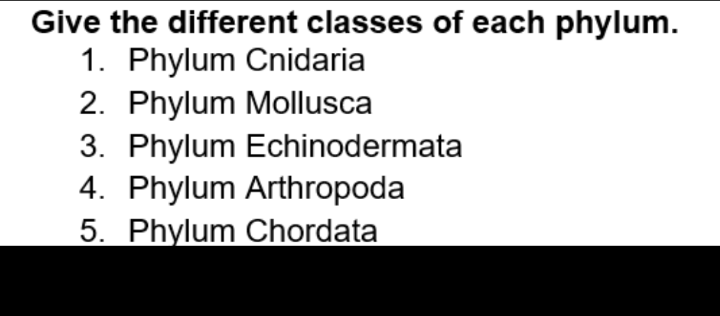 Give the different classes of each phylum.
1. Phylum Cnidaria
2. Phylum Mollusca
3. Phylum Echinodermata
4. Phylum Arthropoda
5. Phylum Chordata
