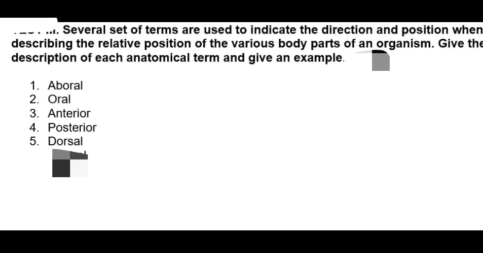 .... Several set of terms are used to indicate the direction and position when
describing the relative position of the various body parts of an organism. Give the
description of each anatomical term and give an example.
1. Aboral
2. Oral
3. Anterior
4. Posterior
5. Dorsal
