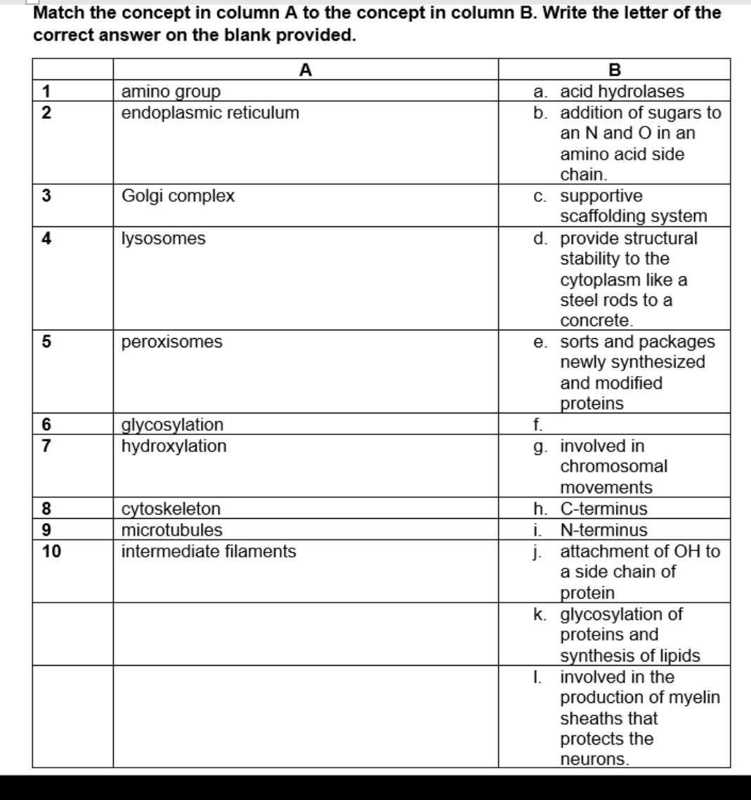 Match the concept in column A to the concept in column B. Write the letter of the
correct answer on the blank provided.
A
В
a. acid hydrolases
b. addition of sugars to
an N and O in an
1
amino group
2
endoplasmic reticulum
amino acid side
chain.
c. supportive
scaffolding system
d. provide structural
stability to the
cytoplasm like a
steel rods to a
Golgi complex
4
lysosomes
concrete.
e. sorts and packages
newly synthesized
and modified
peroxisomes
proteins
glycosylation
hydroxylation
6
g. involved in
chromosomal
7
movements
cytoskeleton
microtubules
h. C-terminus
N-terminus
8
9.
i.
j. attachment of OH to
a side chain of
10
intermediate filaments
protein
k. glycosylation of
proteins and
synthesis of lipids
I. involved in the
production of myelin
sheaths that
protects the
neurons.
