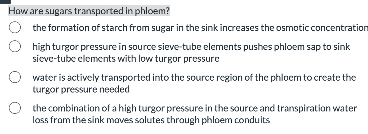 How are sugars transported in phloem?
the formation of starch from sugar in the sink increases the osmotic concentration
high turgor pressure in source sieve-tube elements pushes phloem sap to sink
sieve-tube elements with low turgor pressure
water is actively transported into the source region of the phloem to create the
turgor pressure needed
the combination of a high turgor pressure in the source and transpiration water
loss from the sink moves solutes through phloem conduits