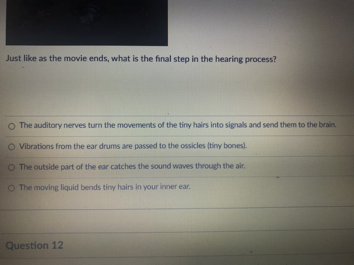 Just like as the movie ends, what is the final step in the hearing process?
o The auditory nerves turn the movements of the tiny hairs into signals and send them to the brain.
O Vibrations from the ear drums are passed to the ossicles (tiny bones).
O The outside part of the ear catches the sound waves through the air.
O The moving liquid bends tiny hairs in your inner ear.
Question 12

