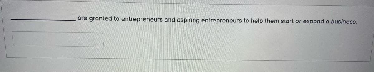 are granted to entrepreneurs and aspiring entrepreneurs to help them start or expand a business.