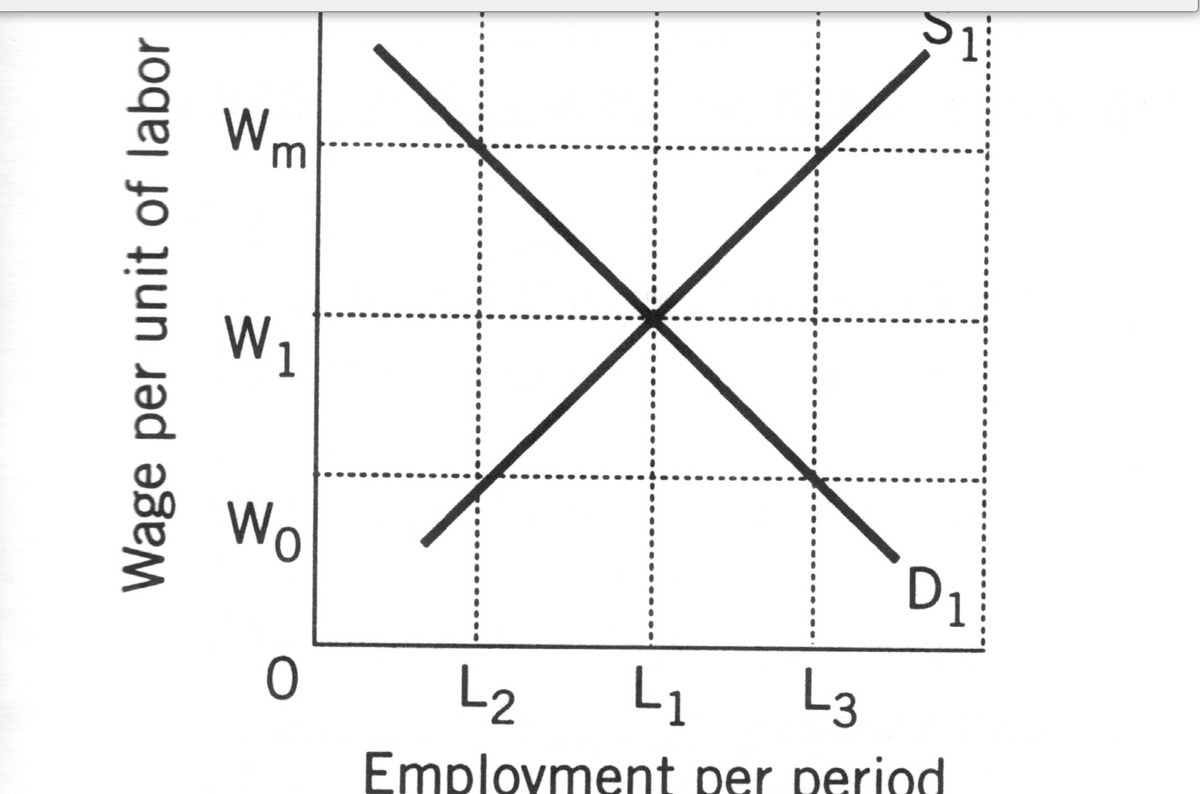 Wm
W1
Wo
D1
L2
L1
L3
Employment per period
Wage per unit of labor
